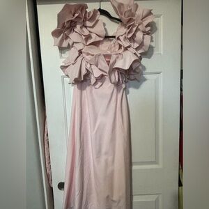 Aje Blush Pink Garment